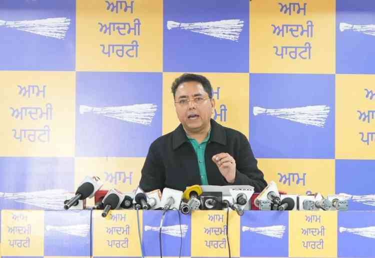 AAP Sweeps Punjab Zila Parishad & Block Samiti Elections