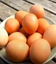 Eggs safe for consumption; cancer risk claims misleading, not scientific, says FSSAI