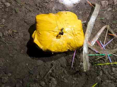 Punjab Police, BSF jointly seize 12 kg heroin in Amritsar