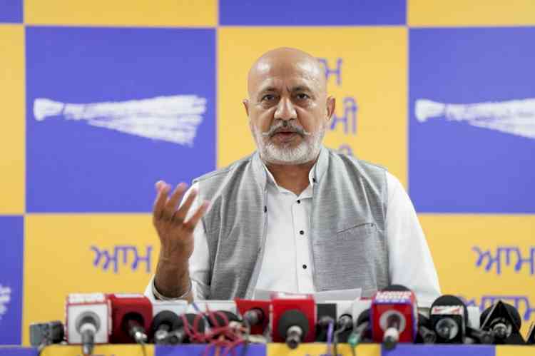 ‘Yudh Nashian Virudh’ Completes 300 Days: Punjab Sets an Unprecedented Benchmark in War Against Drugs