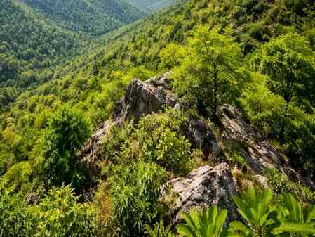 No mining, no dilution: Central govt throws full shield over Aravallis