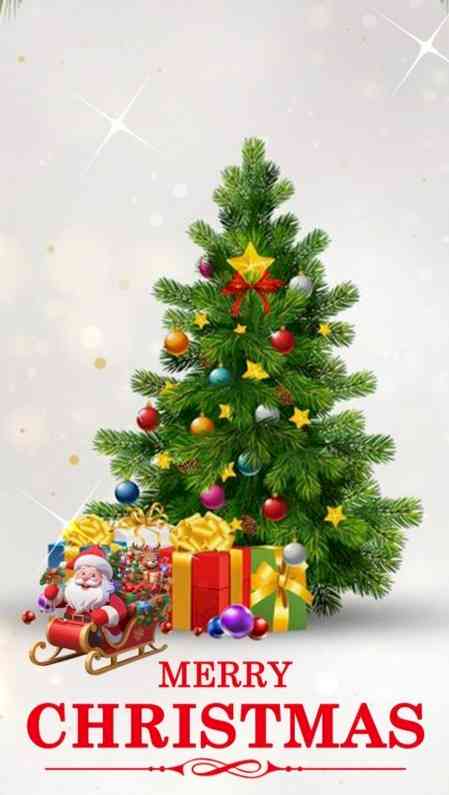 Telugu states mark Christmas celebrations with pomp & gaiety