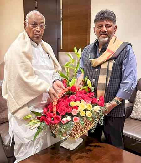 K'taka Cong crisis: Shivakumar meets Kharge, says he has done every job for the party