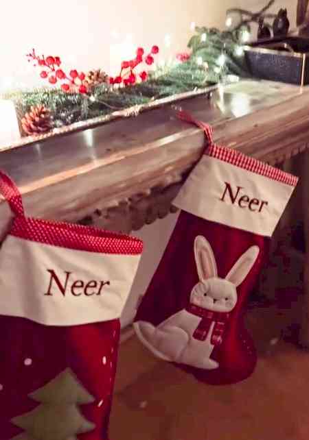 Parineeti Chopra & Raghav Chadha's son Neer gets personalised gift on his first Christmas