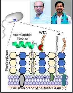 IIT Ropar Researchers Pioneer a New Frontier in Detecting Harmful Bacteria