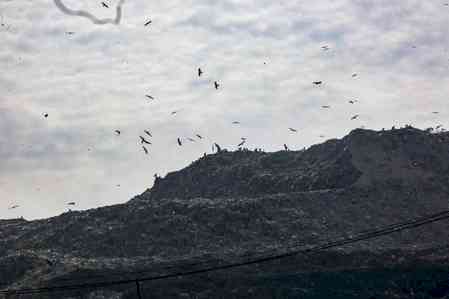 Delhi processes only 64 pc of daily waste, rest dumped at Bhalswa, Ghazipur landfills: CPCB tells NGT