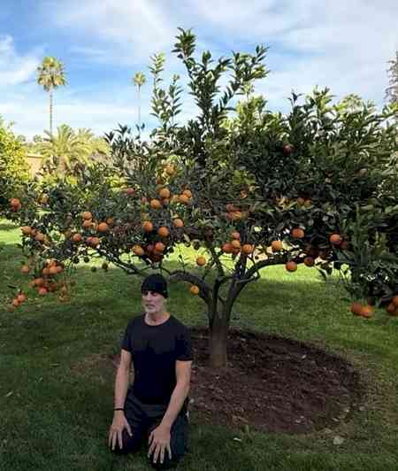 Akshay Kumar sits under an orange tree, reflects on growth