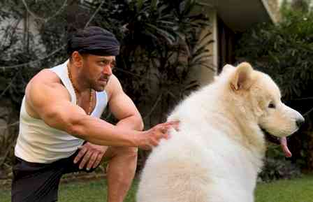 Salman Khan shares pictures of his special Sunday outing with furry friend