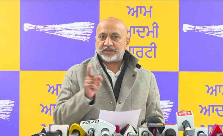 Mann Government's Zero Tolerance Against Gangsters; Anyone Taking Law Into Their Hands Will Face Decisive Action: AAP