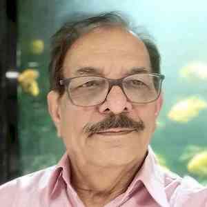 India: A Cricket Superpower, Yet Why the Weakness on Home Ground?