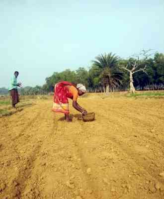 Centre moots strict law to protect farmers from fake seeds