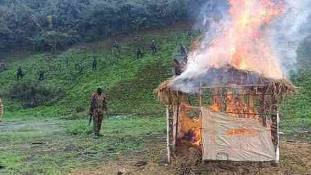 306 acres of illegal poppy cultivation destroyed in Manipur 