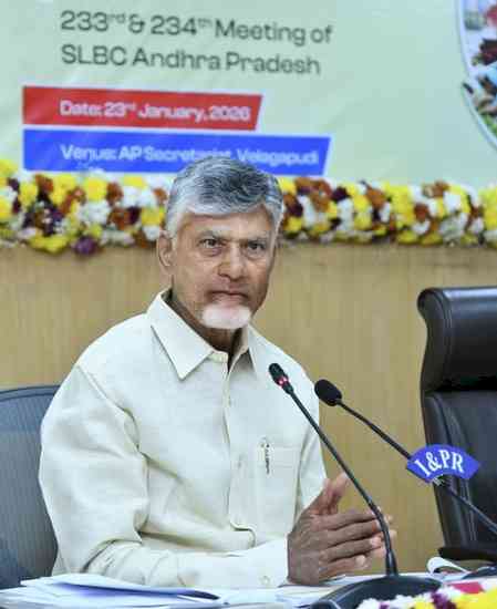 Andhra Pradesh CM asks banks to provide loans to renewable energy sector
