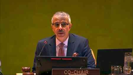 France calls for text-based negotiations to reform UNSC