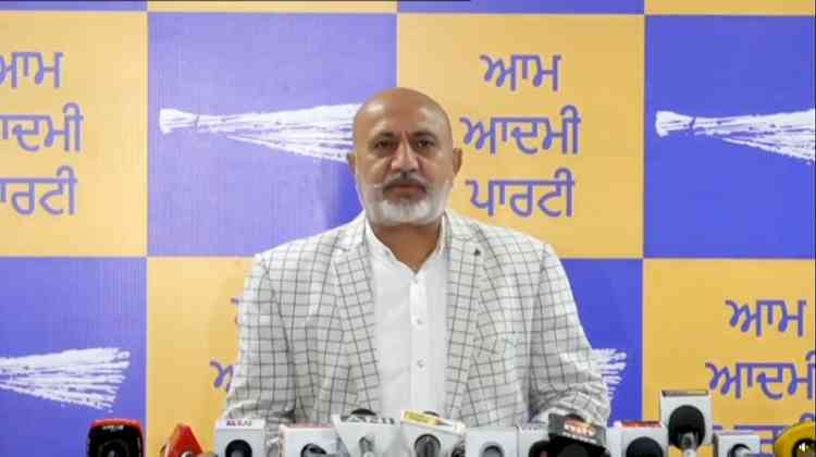 AAP's Pannu Slams Warring and Bajwa's Silence on Rajinder Kaur Bhattal’s Explosive Statement