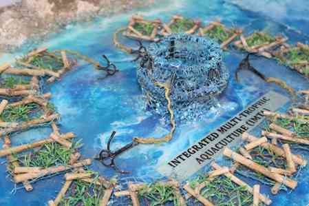 India emerges as key growth engine in global seaweed economy