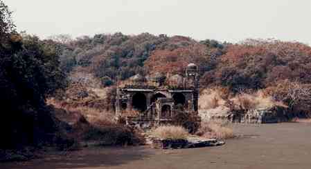 Rajasthan: Mobile phones banned during Ranthambore Safari under SC guidelines