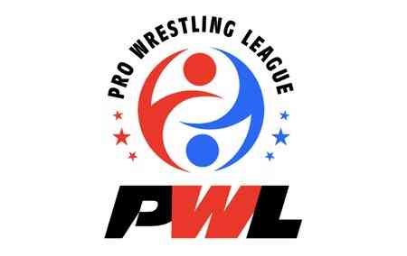 Organisers to launch Pro Wrestling League-based gaming app to keep fans engaged: PWL Chairman Dayaan Farooqui 