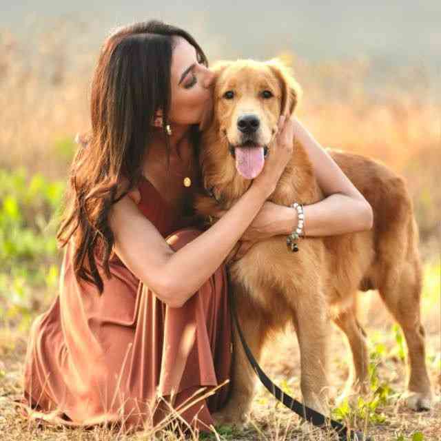 Kashika Kapoor Adopts 15 Stray Dogs