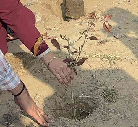 Fortis Ludhiana, Mall Road Marks World Cancer Day with ‘Seeds of Hope’ Tree Plantation Drive