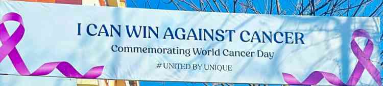 Cancer survivors, docs take part in walkathon