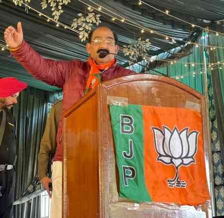 Viksit Bharat-G-RAM-G scheme ensures rights of poor, labourers: Punjab BJP