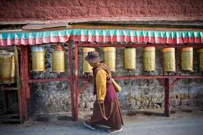 Chinese policies eroding foundations of Tibetan civilisation: Report 