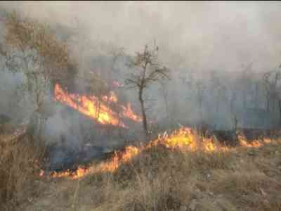 NGT issues notices to Centre, states over rising forest fires