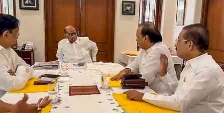 Maha: Alliance between NCP factions pay political dividend in local body polls