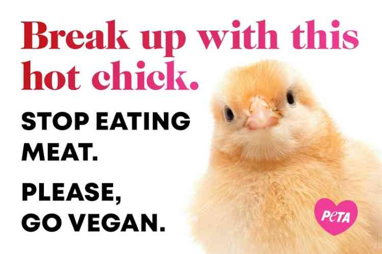 PETA India Valentine’s Day Campaign Urges Students to ‘Break Up’ With a Hot Chick 