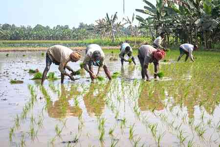 AI booster for agriculture: 7.63 crore farmer IDs created, 23.5 crore crop plots surveyed