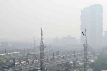 CAQM tells northern states to curb wheat stubble burning during harvest season