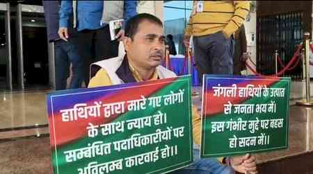 Rising elephant attacks echo in Jharkhand Assembly, MLA stages sit-in protest