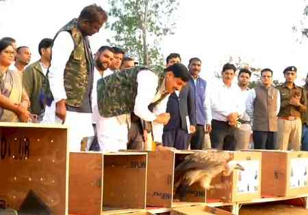 MP CM releases 5 endangered vultures at Halali Dam water wetland in Raisen