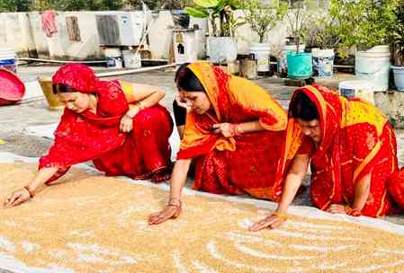 Punjab expected to produce 132 lakh metric tonnes of wheat