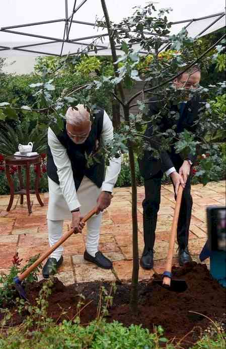 PM Modi expresses gratitude to Israel President for supporting 'Ek Ped Maa Ke Naam' initiative 