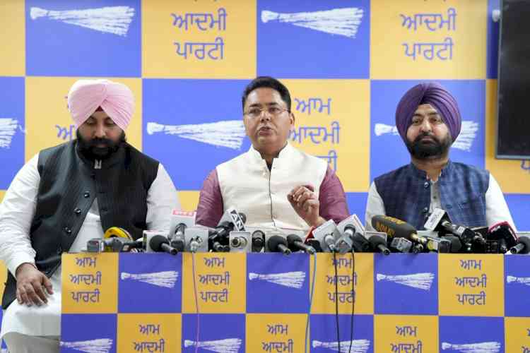 Truth Has Prevailed: BJP Must Apologize to the Nation for Conspiracy Against Arvind Kejriwal: Aman Arora