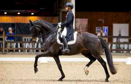 Anush Agarwalla makes impressive international debut at Belgium Dressage Events 