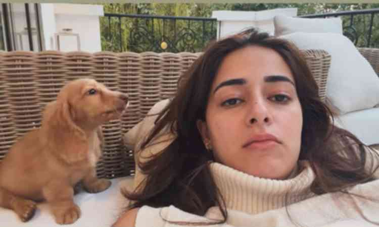 Ananya Panday's fur baby makes her realise that she needs a haircut
