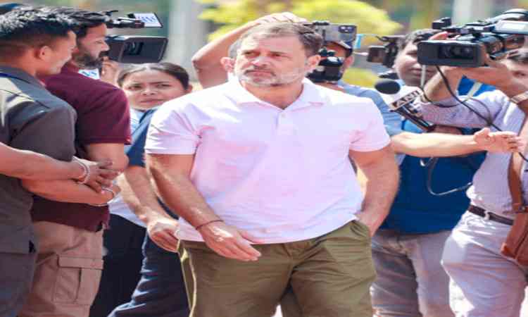 Energy security compromised due to flawed foreign policy; govt must prepare: Rahul Gandhi