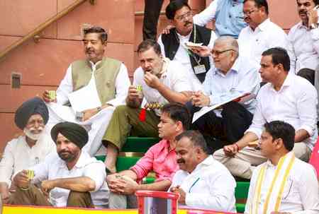 'This is Parliament, not a picnic spot', says BJP MPs amid Oppn protest row over energy security