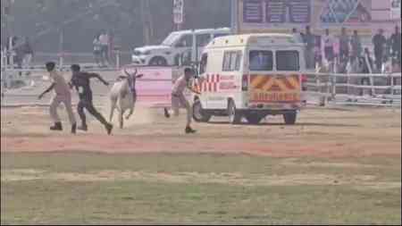 Stray bull sparks security scare at helipad during Nitish Kumar’s Begusarai visit