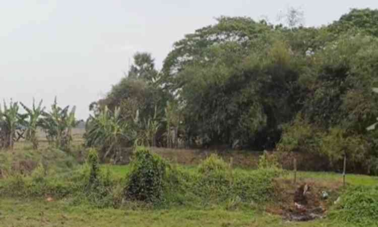 Odisha: Kushunupur selected as 'smart village', scientific innovation to transform its growth landscape