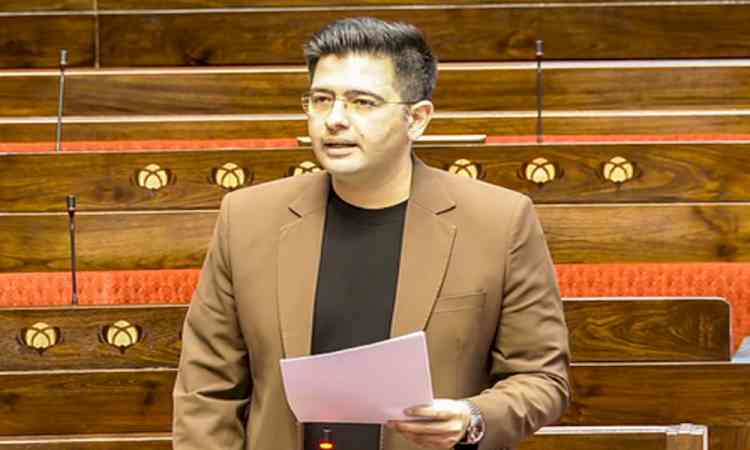 Bank accounts giving financial stress rather than security: Raghav Chadha