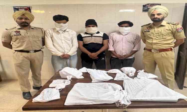 Punjab Police bust gang involved in mule accounts; three held