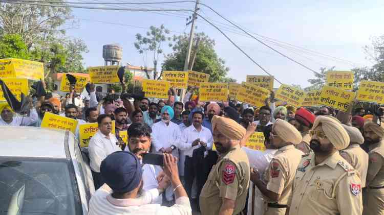 Saini Faces Black Flags in Samana; AAP Stages Protest with ‘Go Back’ Slogans