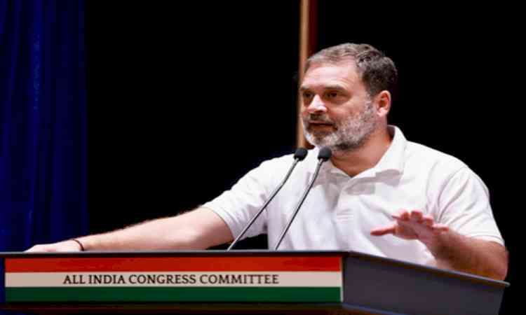 Rahul Gandhi to launch Kerala poll campaign with Kozhikode rally on March 25