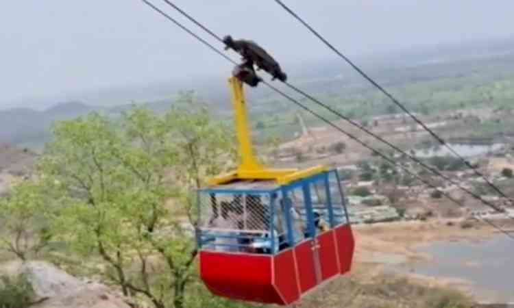 Six injured as Khallari temple ropeway snaps midway in Chhattisgarh's Mahasamund 