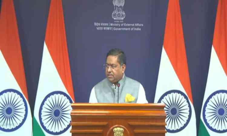 India in touch with concerned countries for safe transit of ships through Strait of Hormuz: MEA