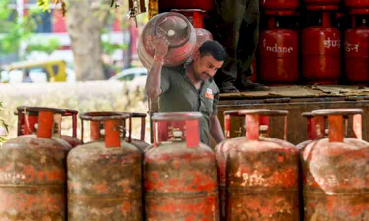 Over 350 notices issued to LPG distributorships, enforcement drives continue across states: Govt